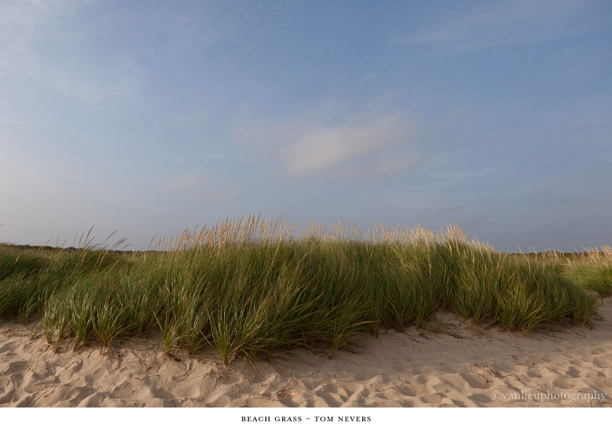 Dunes| Nantucket | Van Lieu Photography 2