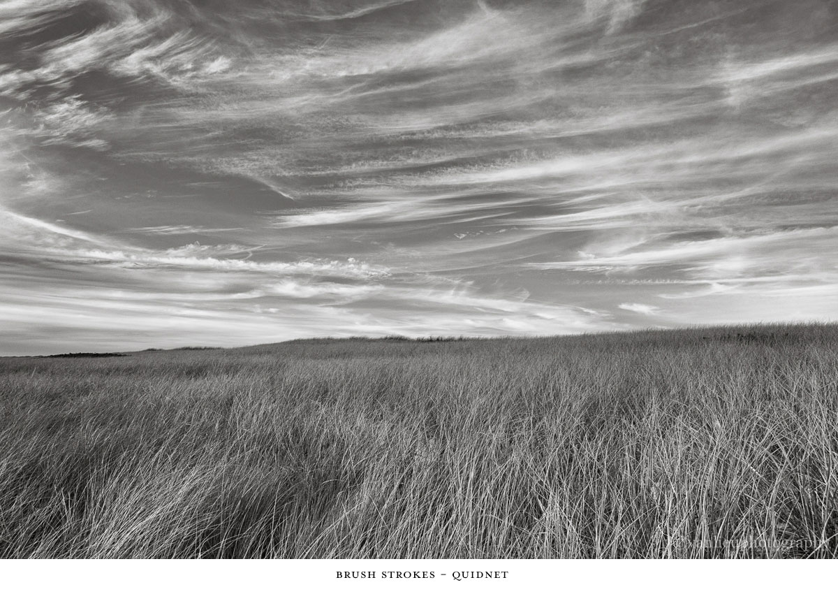 Dunes| Nantucket | Van Lieu Photography 15
