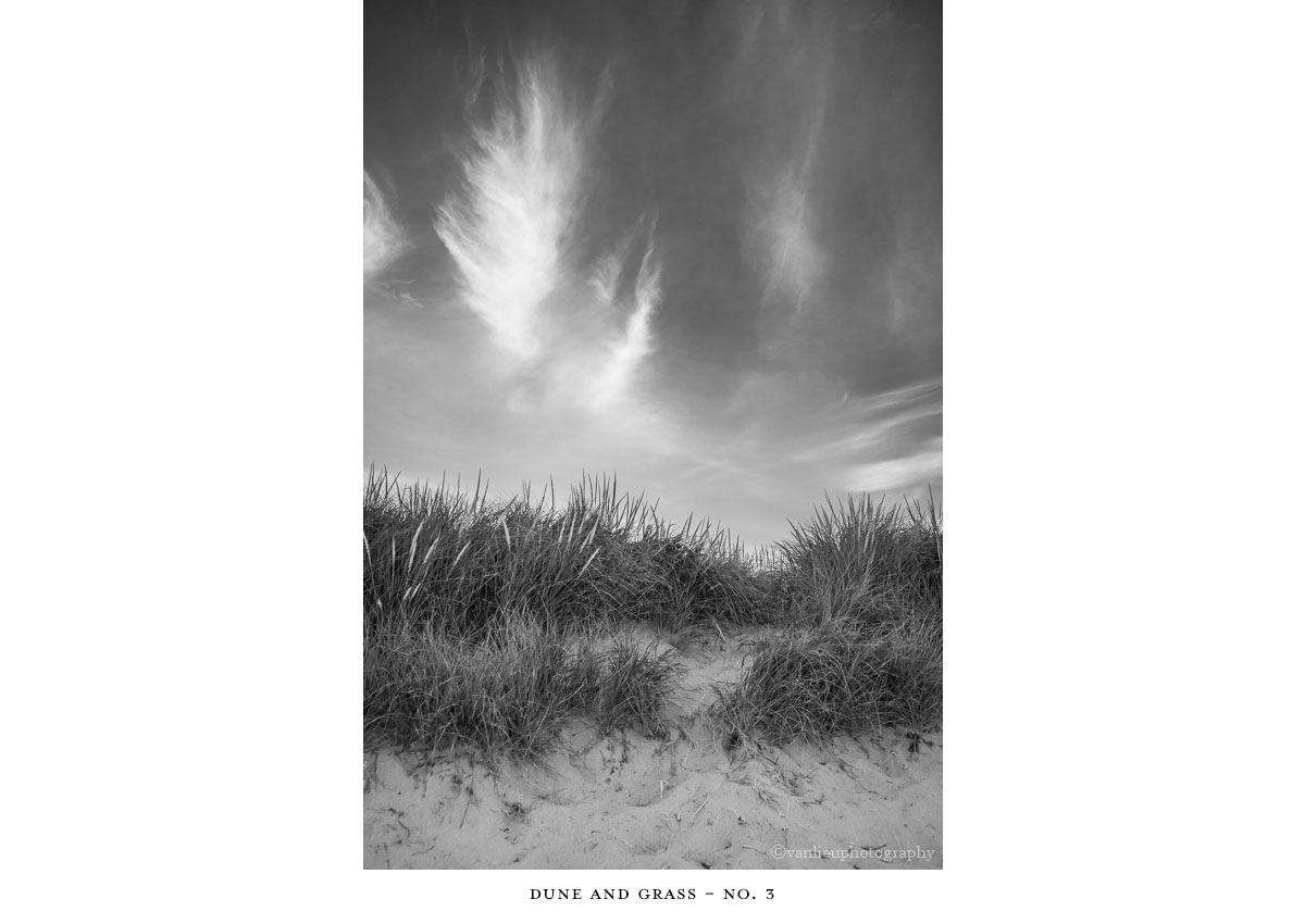 Dunes| Nantucket | Van Lieu Photography 10