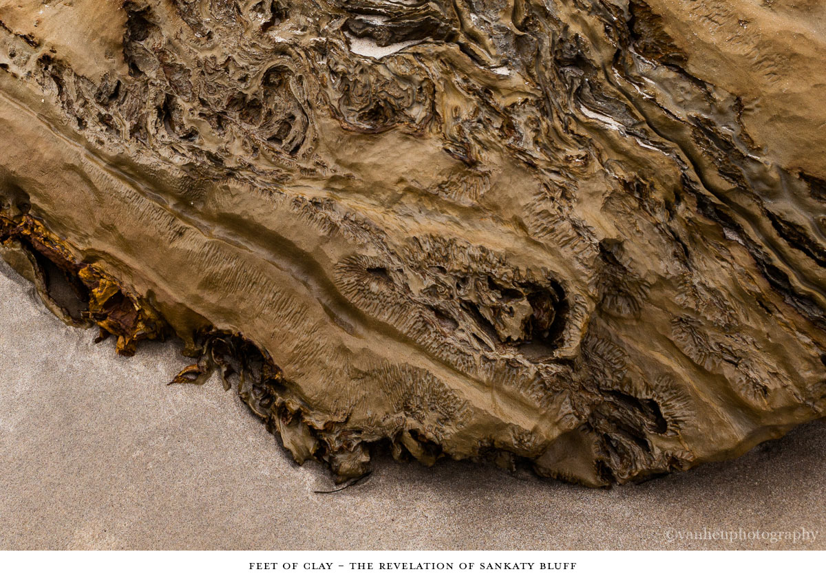 Feet of Clay | Nantucket | Van Lieu Photography | Erosion