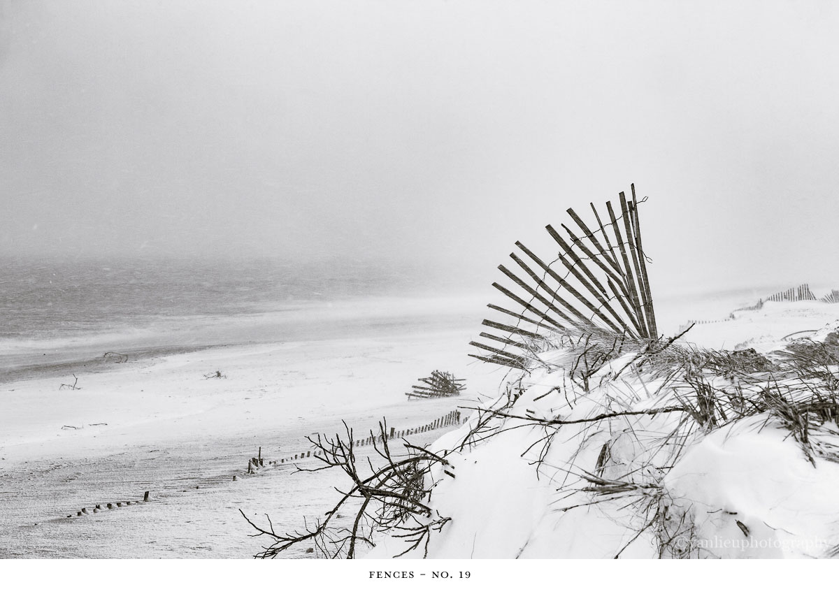Fences | Nantucket | Beach | Van Lieu Photography 19