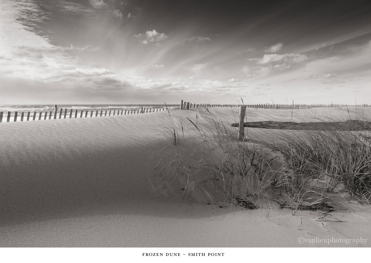Dunes| Nantucket | Van Lieu Photography  5