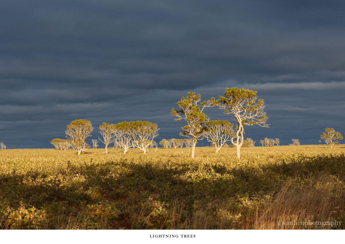 Landscapes | Nantucket | Van Lieu Photography 9