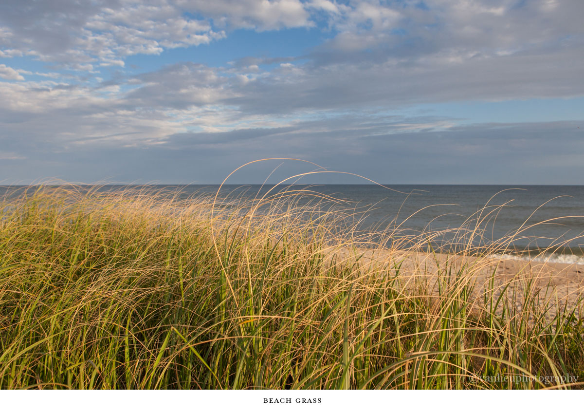 Landscapes | Nantucket | Van Lieu Photography 11
