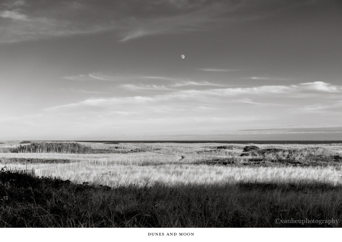 Landscapes | Nantucket | Van Lieu Photography 15
