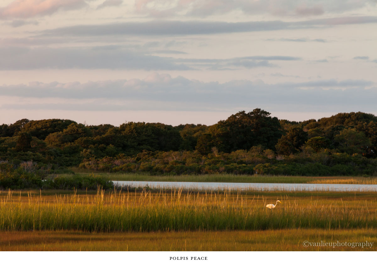 Landscapes | Nantucket | Van Lieu Photography 3