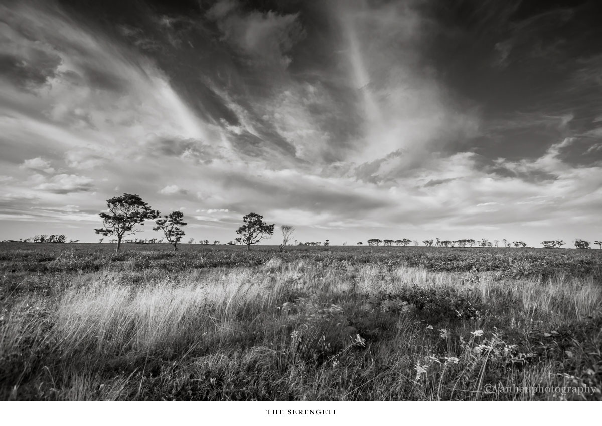 Landscapes | Nantucket | Van Lieu Photography 5