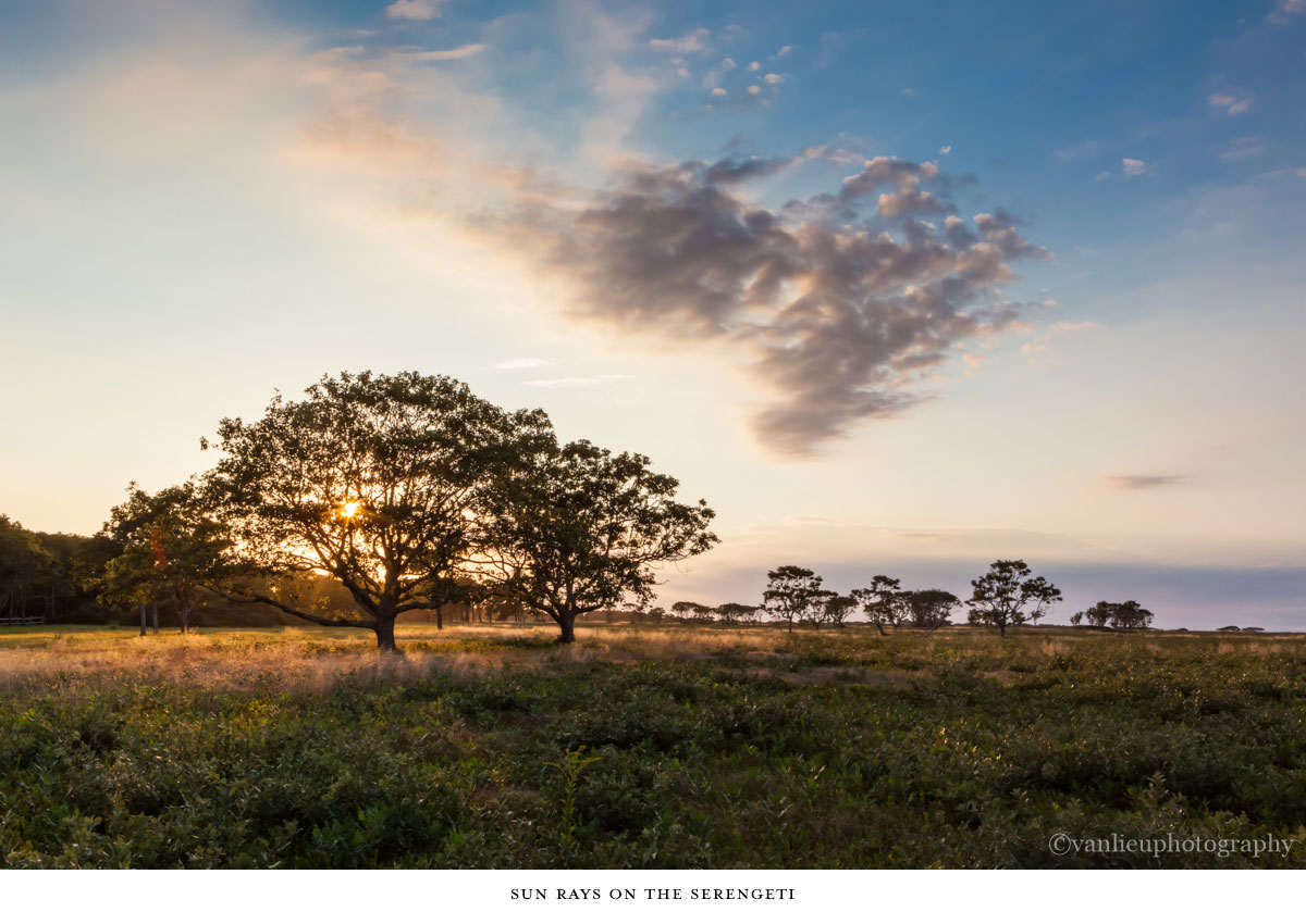 Landscapes | Nantucket | Van Lieu Photography 8