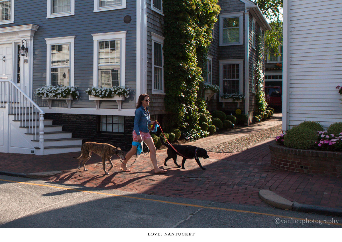 Love, Nantucket  | Town | Van Lieu Photography 7