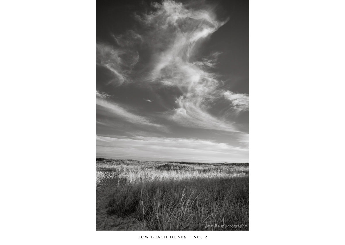 Dunes| Nantucket | Van Lieu Photography 11