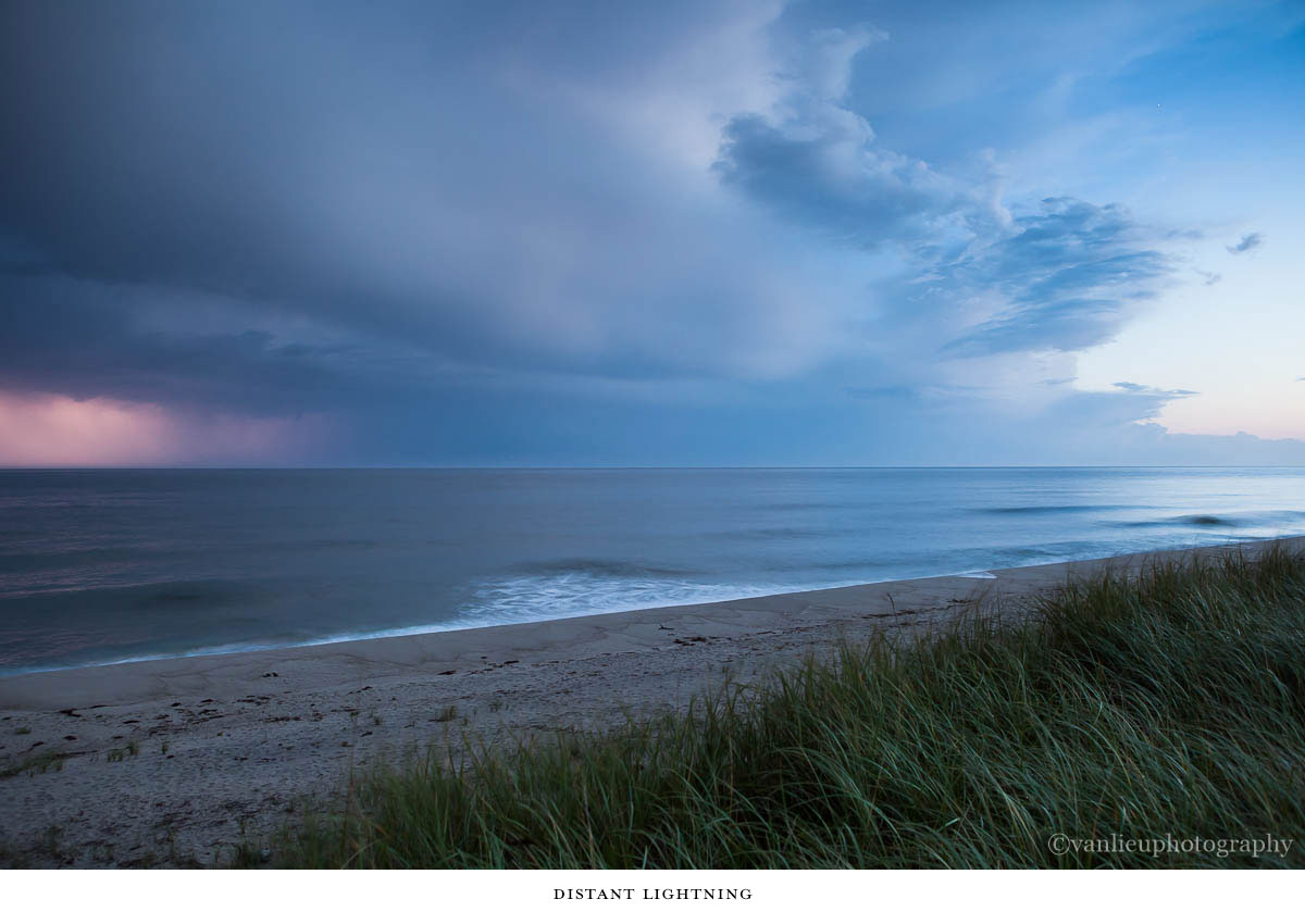 Nature| Nantucket | Van Lieu Photography 13