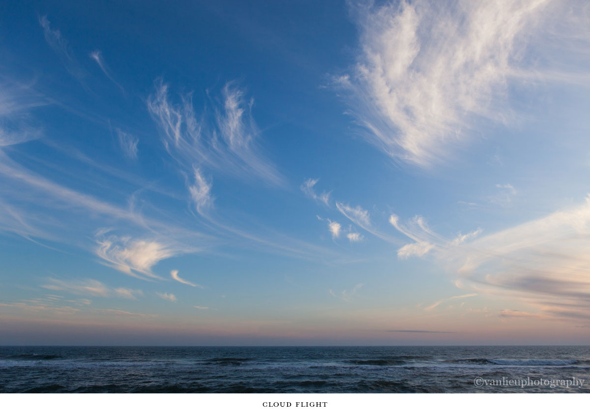 Nature| Nantucket | Van Lieu Photography 15