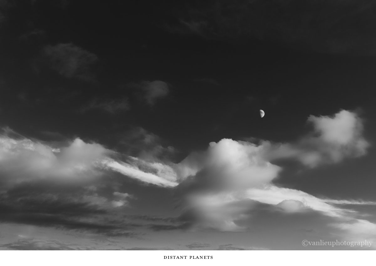 Nature| Nantucket | Van Lieu Photography 16 