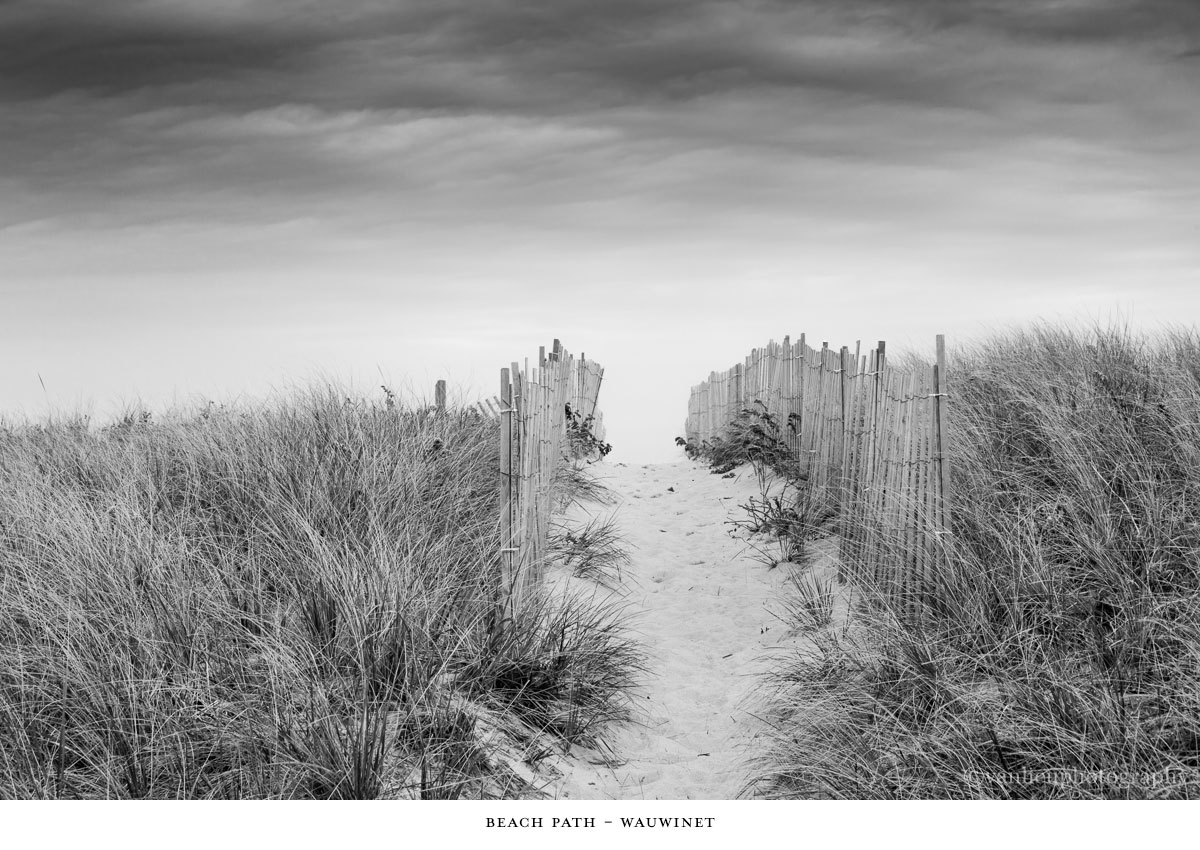 Paths Taken | Nantucket | Beach | Van Lieu Photography 1