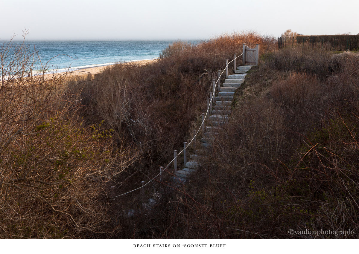 Paths Taken | Nantucket | Beach | Van Lieu Photography 10