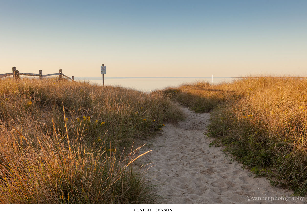 Paths Taken | Nantucket | Beach | Van Lieu Photography 12