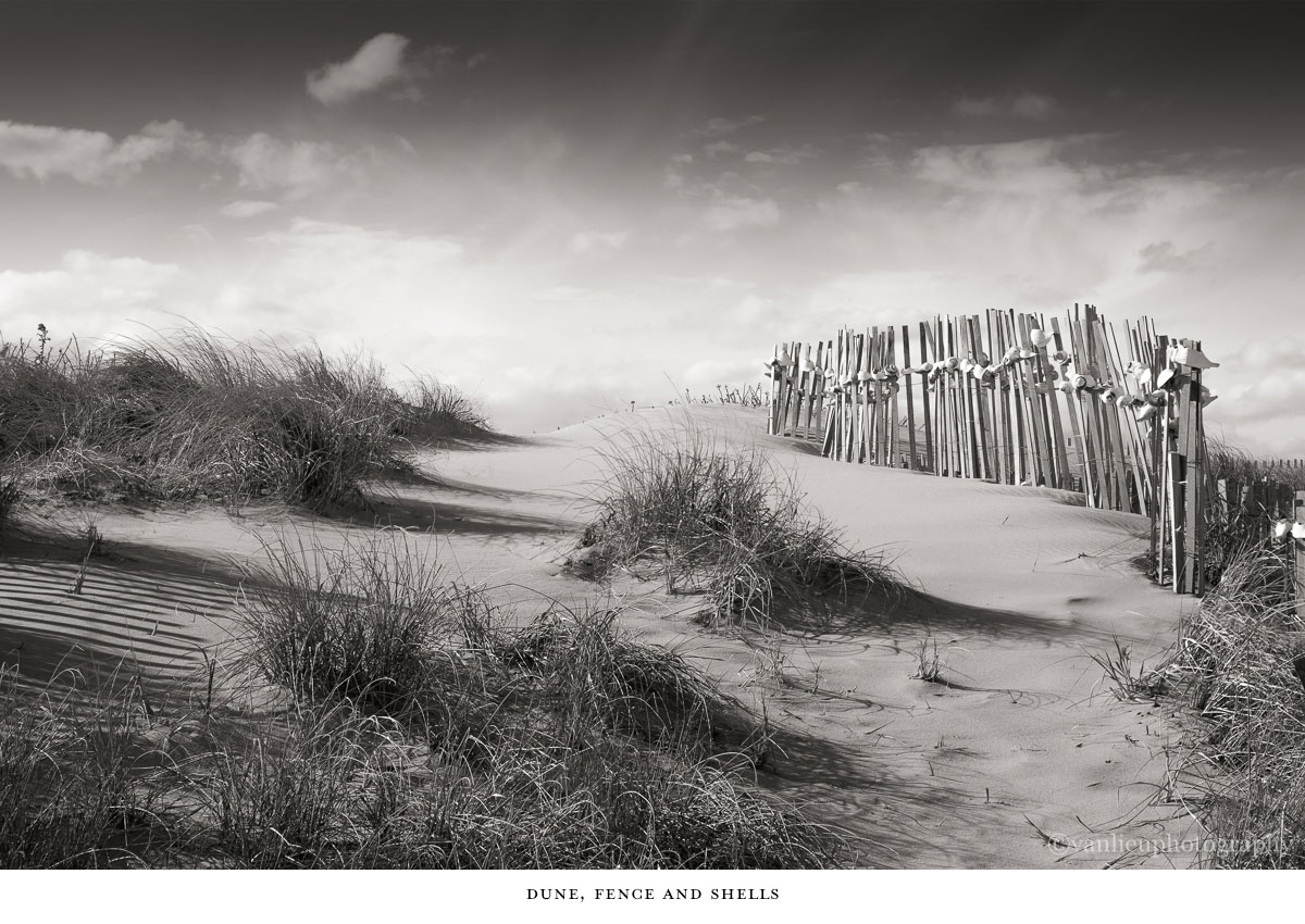 Paths Taken | Nantucket | Beach | Van Lieu Photography 17