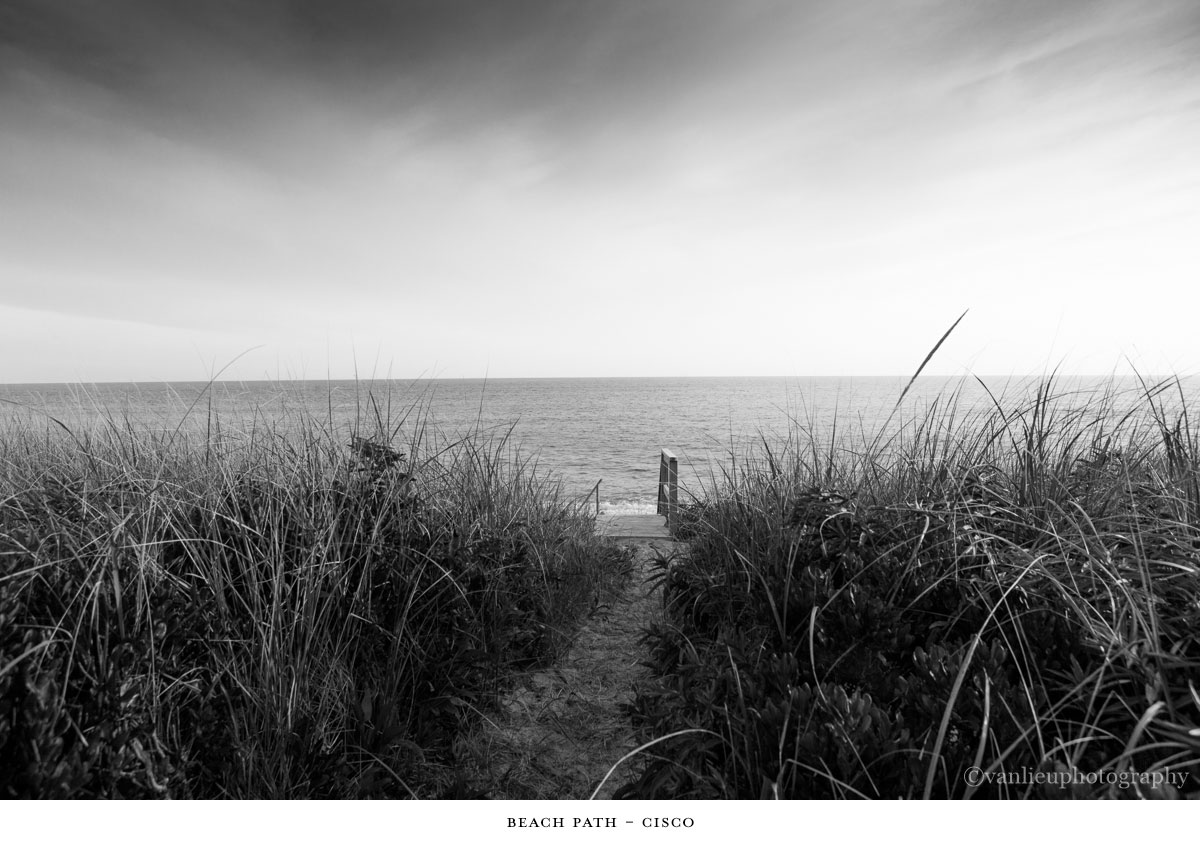 Paths Taken | Nantucket | Beach | Van Lieu Photography 18