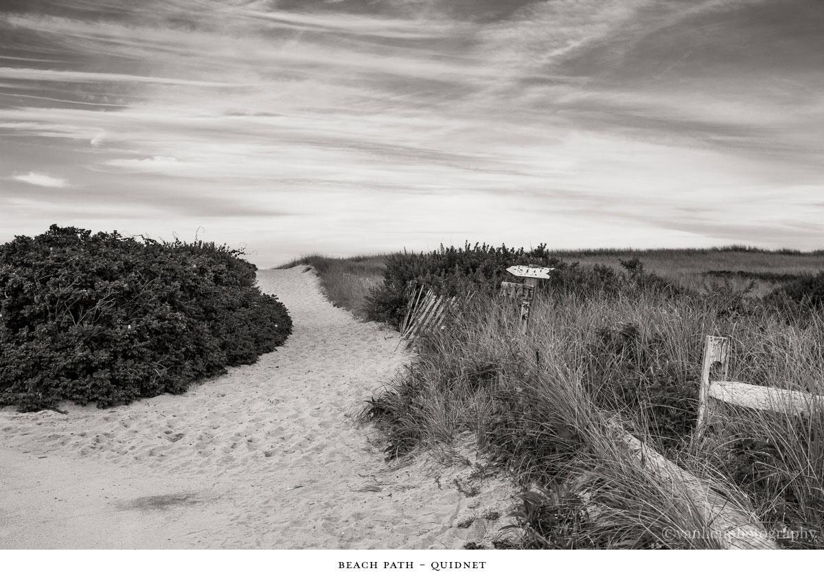 Paths Taken | Nantucket | Beach | Van Lieu Photography 3