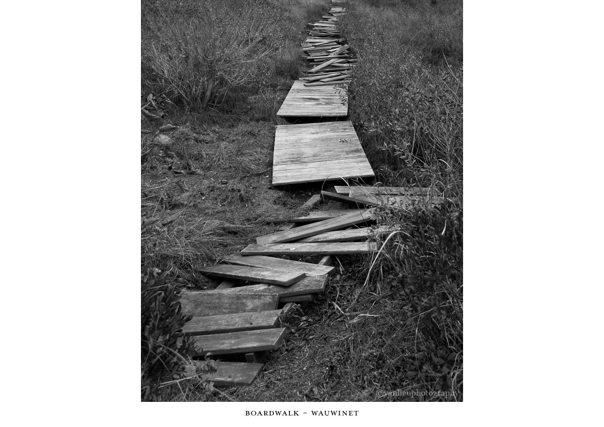 Paths Taken | Nantucket | Beach | Van Lieu Photography 5