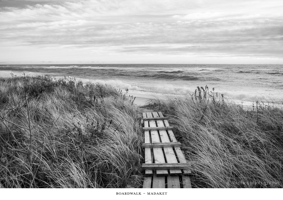 Paths Taken | Nantucket | Beach | Van Lieu Photography 6
