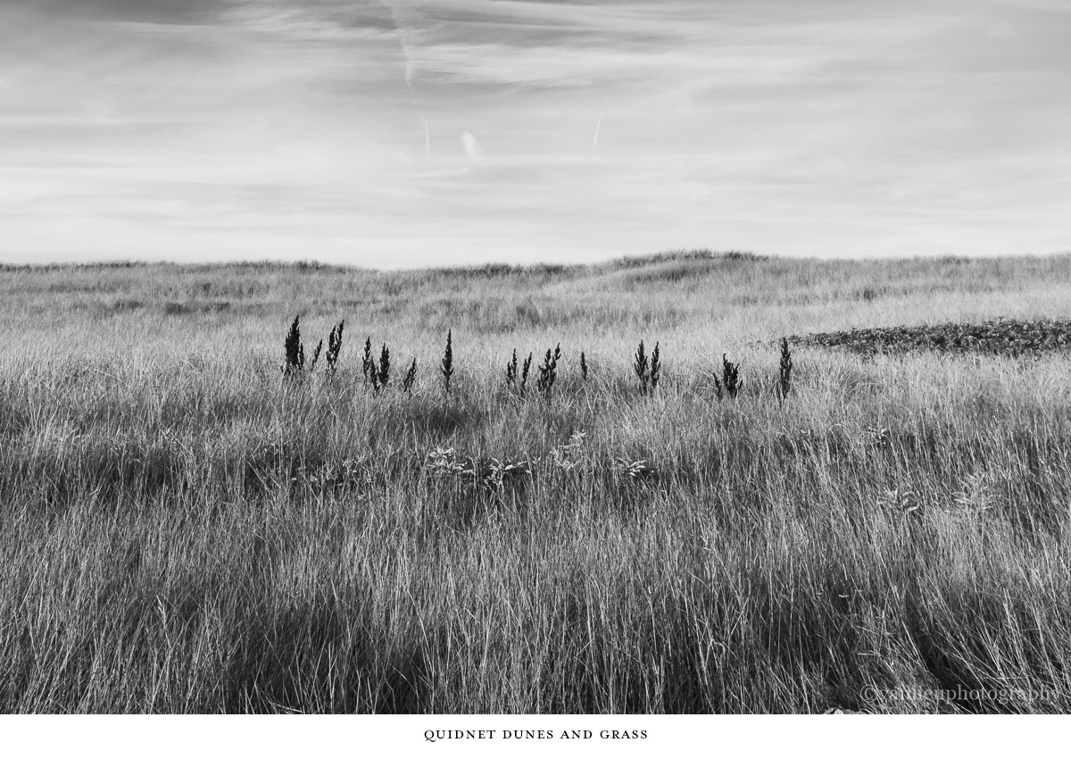 Dunes| Nantucket | Van Lieu Photography 14