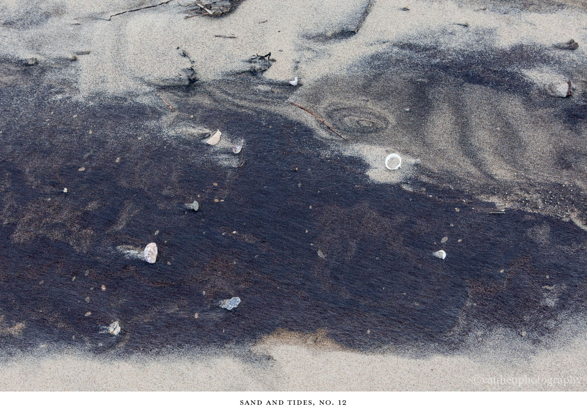 Sand and Tides | Nantucket | Beach | Van Lieu Photography 12
