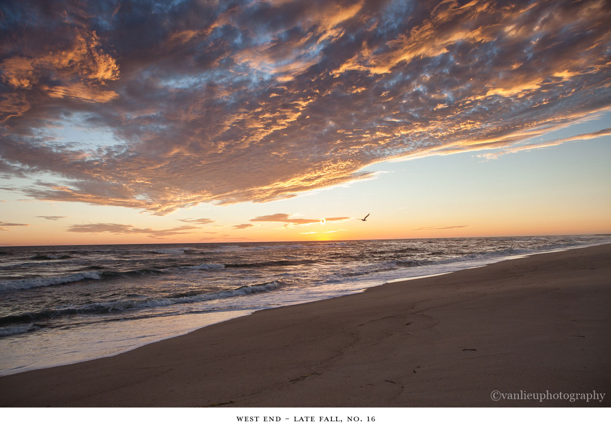 West End| Nantucket | Madaket | Van Lieu Photography 16