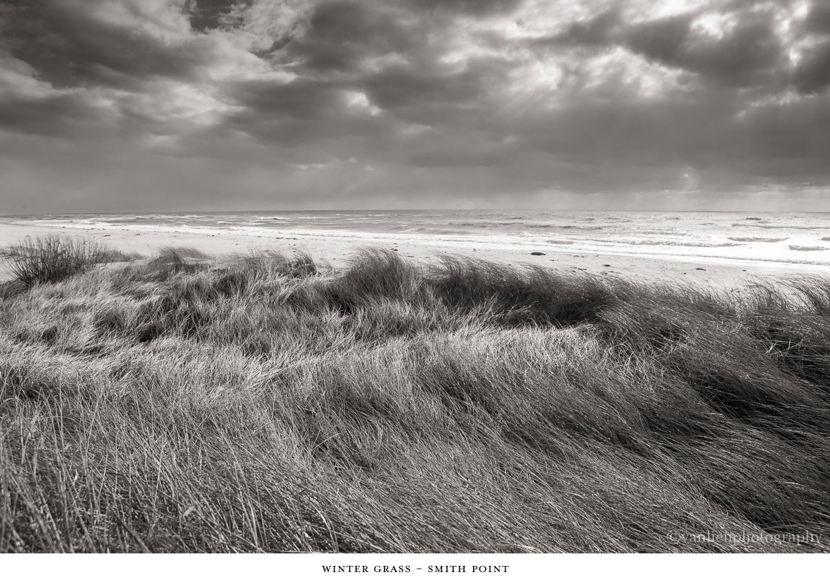 Dunes| Nantucket | Van Lieu Photography 6