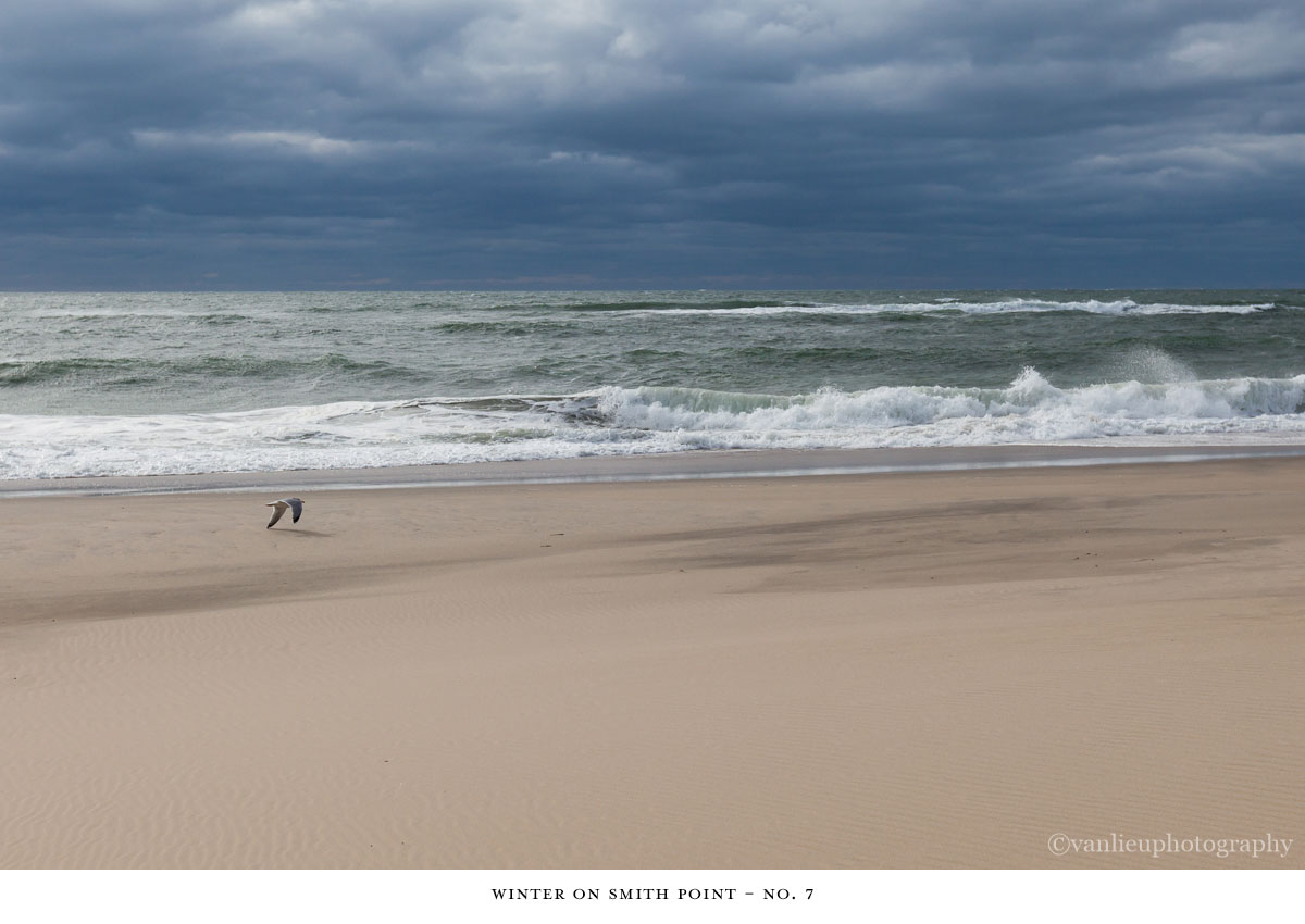 Winter Smith Point| Nantucket | Beach | Van Lieu Photography 7